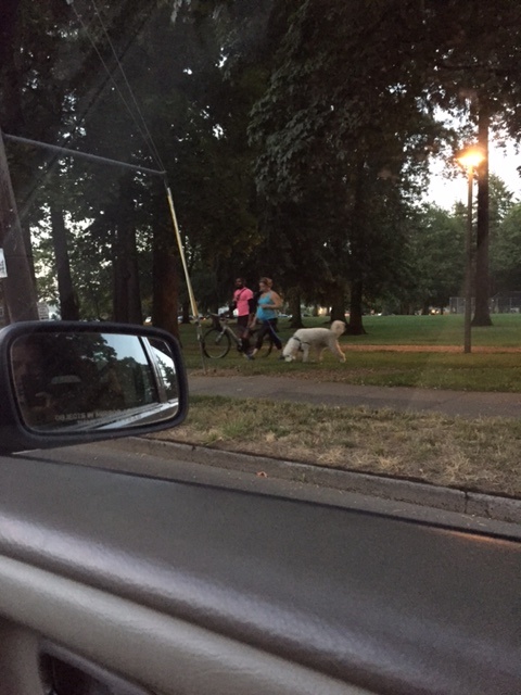 When Teresa called me