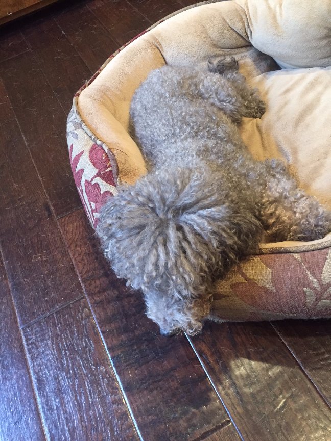 When Teresa called me