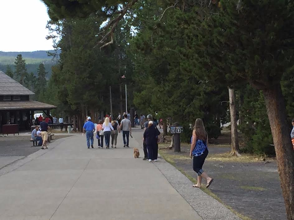 When Teresa called me