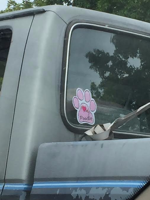 When Teresa called me