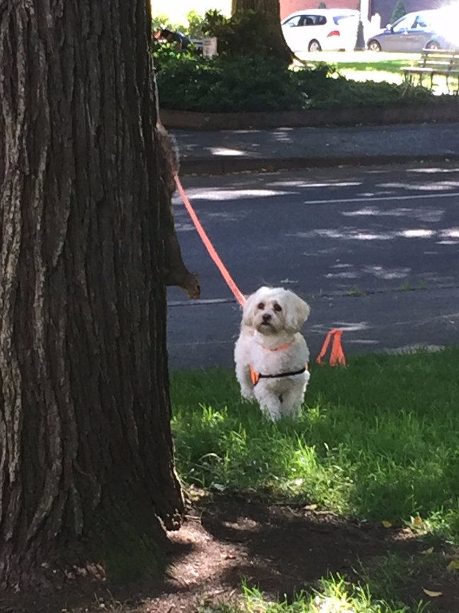 When Teresa called me