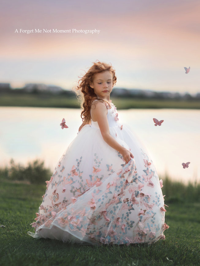 Butterfly in Pink