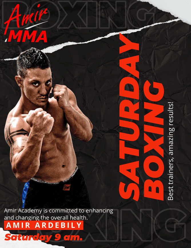 Check Out Classes | Amir Academy Of Martial Arts Saint Petersburg