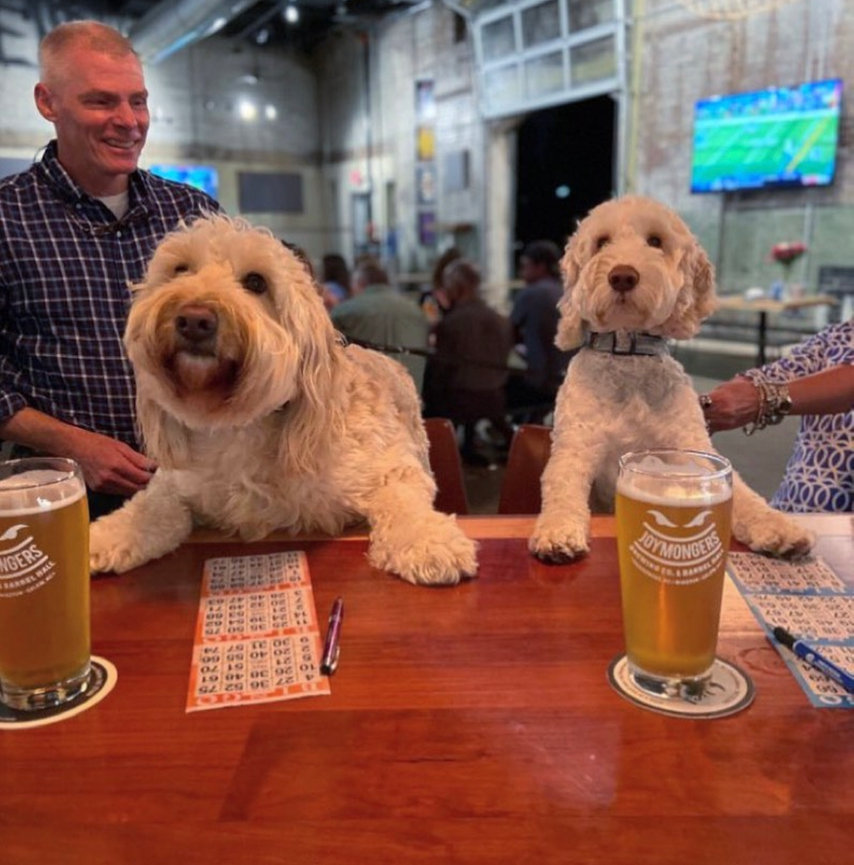 Joymongers Barrel Hall • Winston Salem, NC