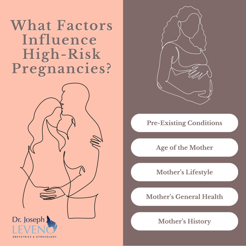 What Factors Influence High Risk Pregnancies Dr Joseph Leveno 