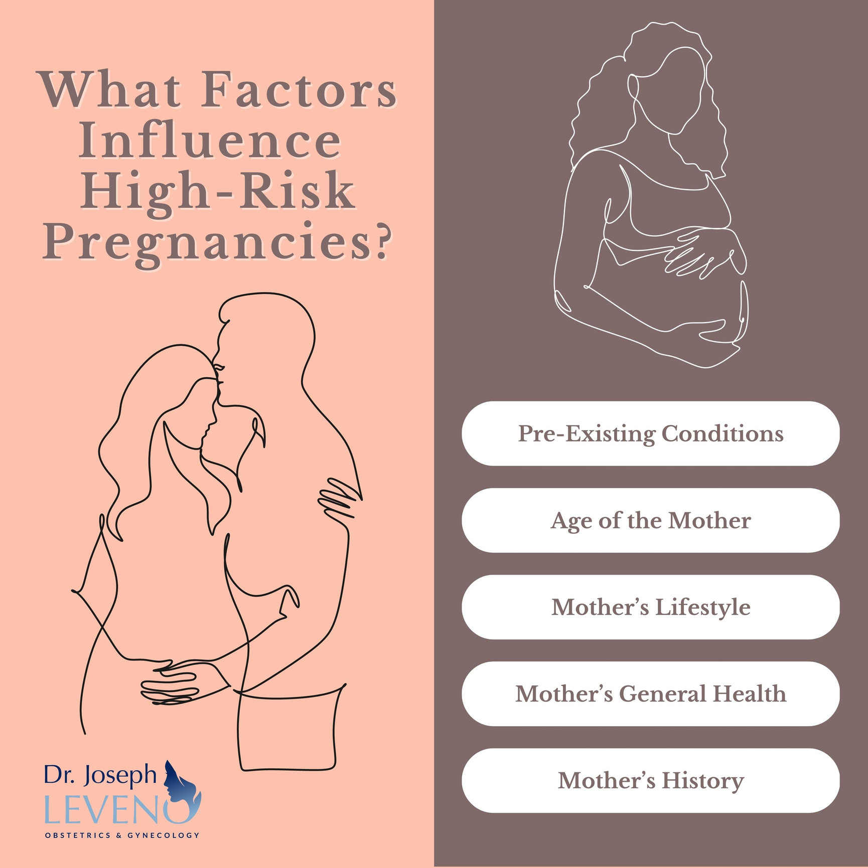 What Factors Influence High Risk Pregnancies Dr Joseph Leveno 3078