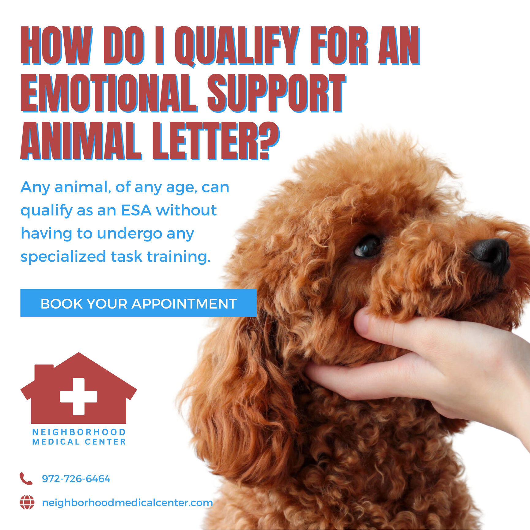 How Do I Qualify For an ESA (Emotional Support Animal) Letter in Dallas